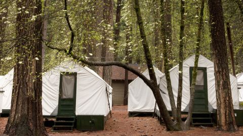 Most of the six cases at Yosemite National Park were in people who stayed at the park's popular Curry Village "tent cabins."