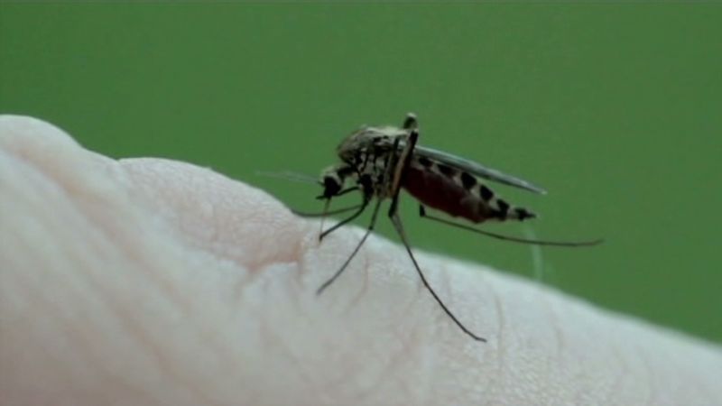 US experiences West Nile virus outbreak . | CNN