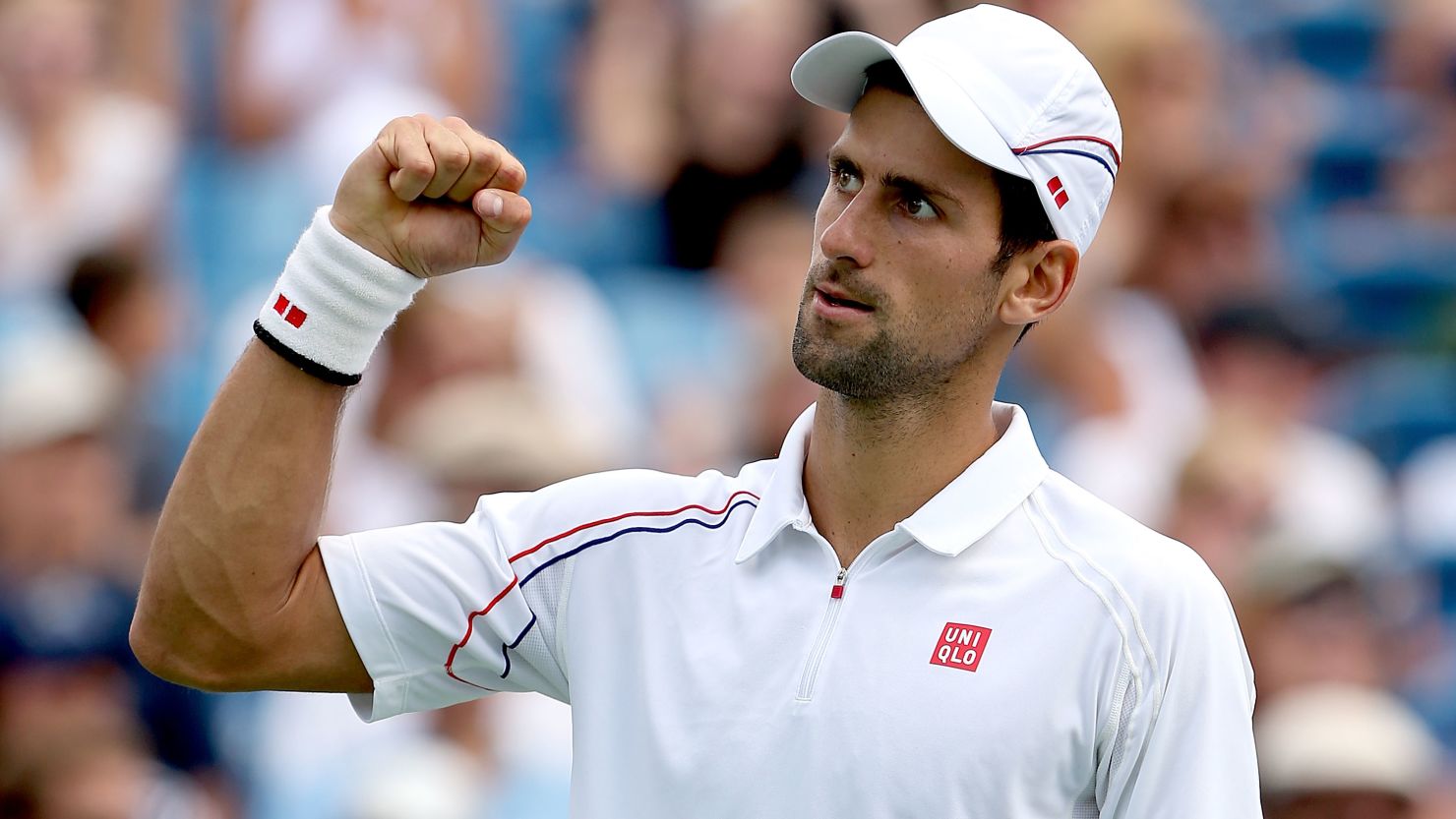 Novak Djokovic celebrates his win over Juan Martin Del Potro