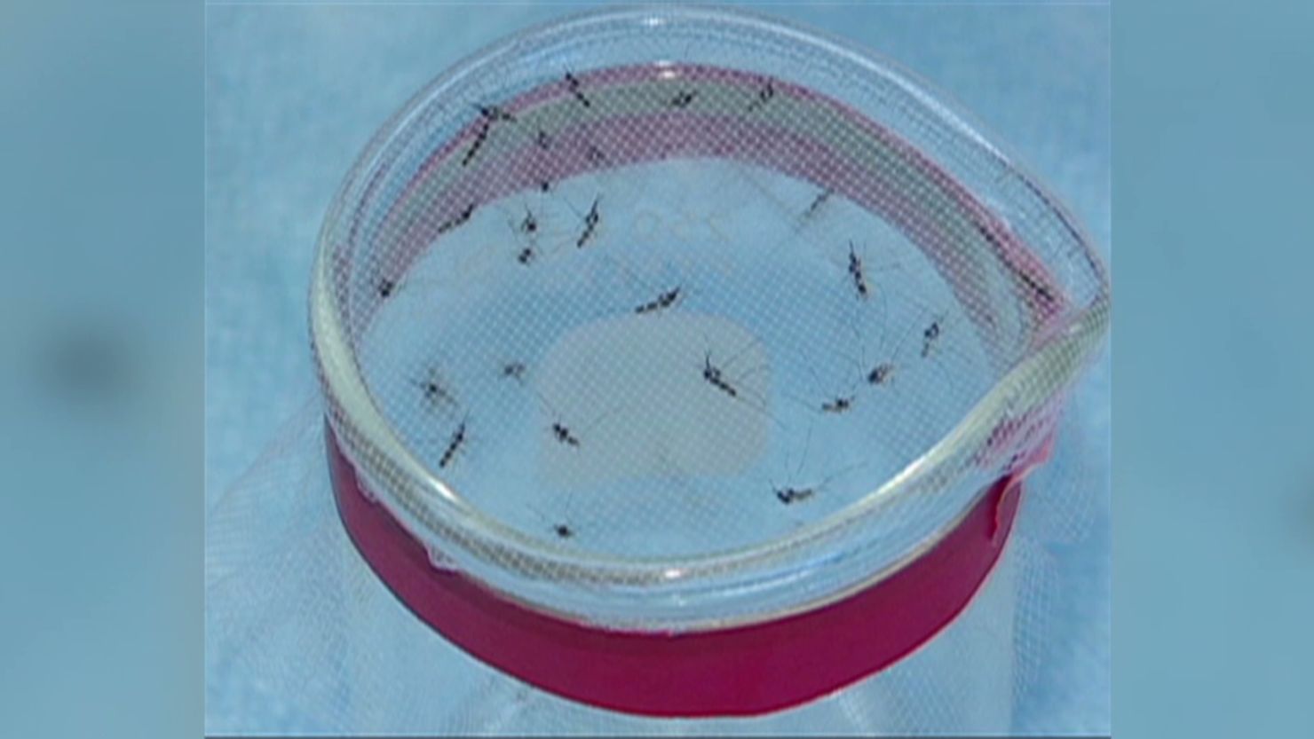 Health officials believe the worst of the West Nile epidemic is over for this year.