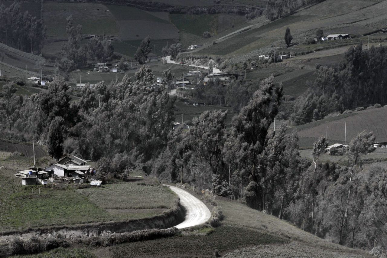 Grass and trees in Banos appear gray from the showering of volcanic ash on Sunday.