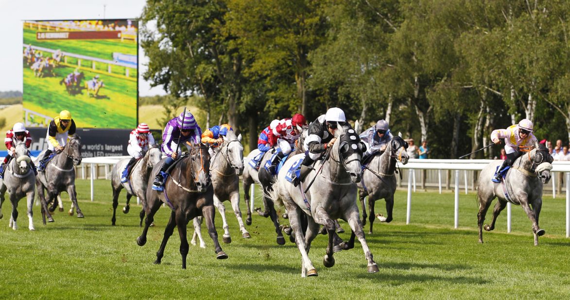 Medici Time under jockey Eddie Ahern won the annual gray horses handicap race held at the famous Newmarket race course in England in August 2012. <br />