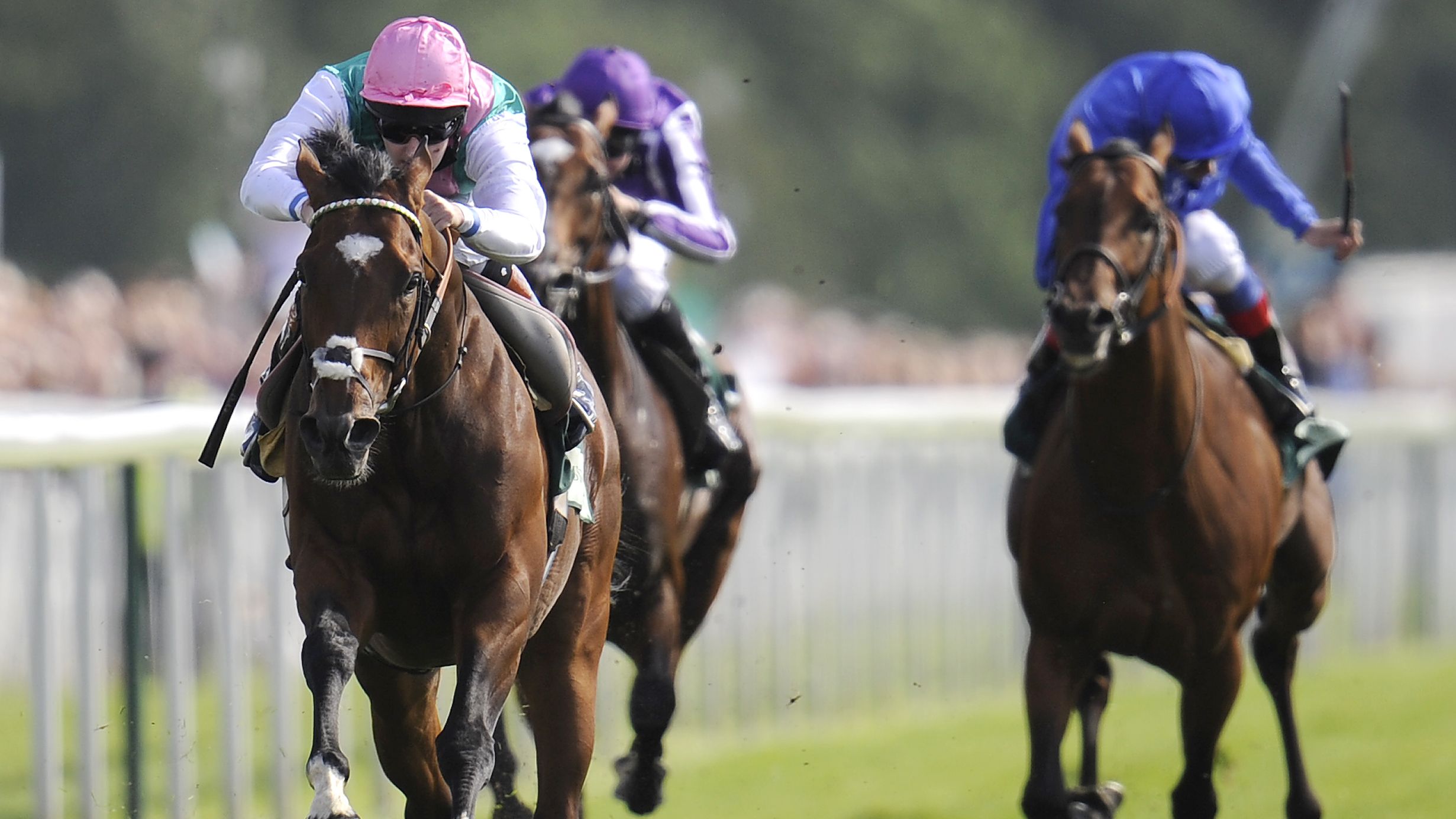 Frankel and jockey Tom Queally burst clear to win the Juddmonte International at York in commanding fashion.