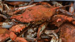 seasoned and cooked blue crab