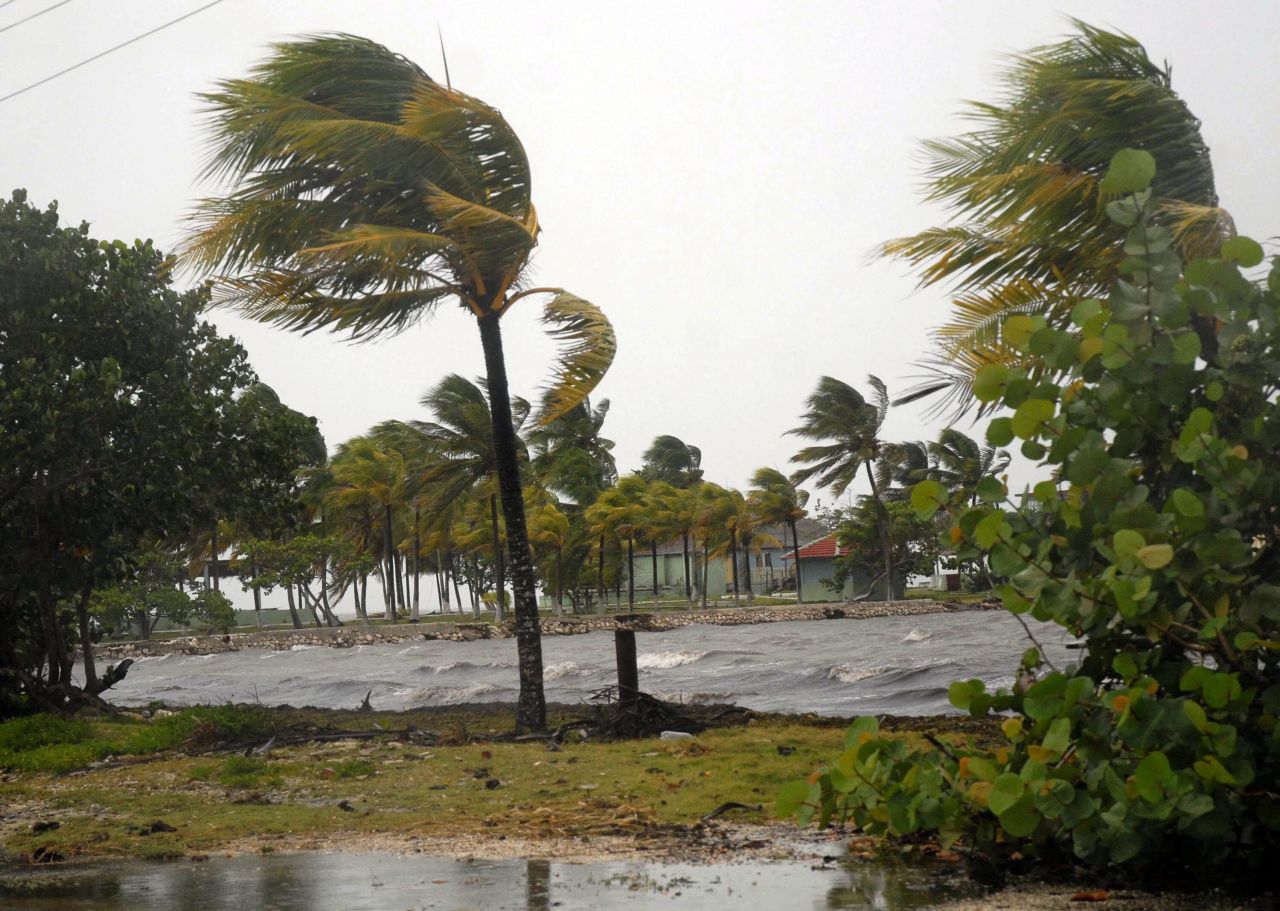 Strong winds bend palm trees in Cuba's northern province of Sancti Spiritus on Saturday. Isaac is expected to strengthen and become a Category 1 hurricane by early Monday as it draws nearer to Florida.