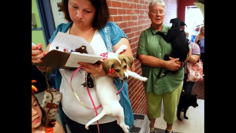 Biloxi, Mississippi, resident Stephanie Dale fills out paperwork Sunday to have her dog microchipped at the Humane Society of South Mississippi, which opened its doors to provide an emergency microchip and tag clinic.