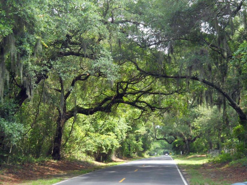 Each destination had to be within driving distance, with one overnight stop, of the children's home in Nashville, Tennessee. Scenic roads like this one in South Carolina likely made some of the driving more enjoyable.