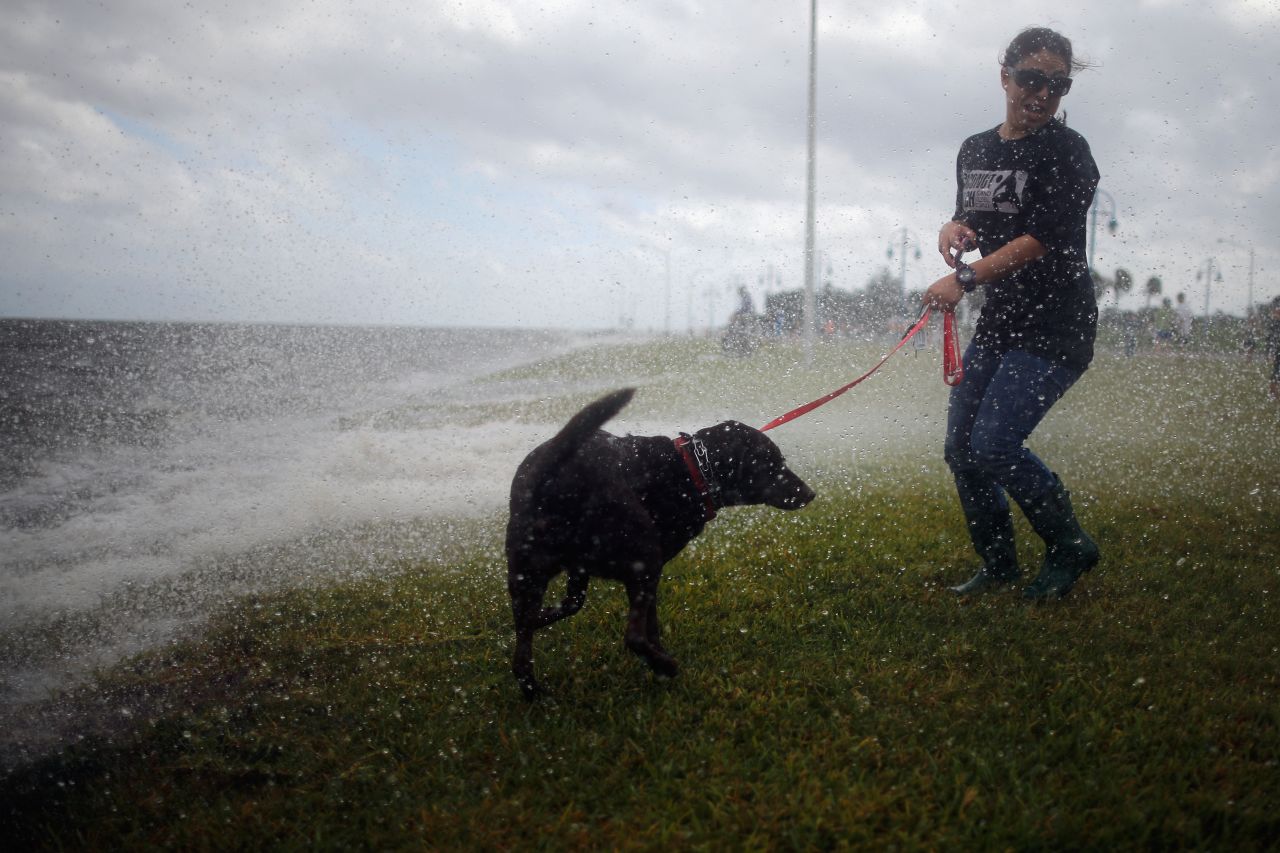 A woman and her dog watch the waves produced by Hurricane Isaac on the shore of Lake Pontchatrain in New Orleans on Tuesday. Hurricane Isaac is expected to make landfall later tonight along the Louisiana coast.