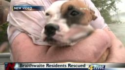 von braithwaite dogs old man rescue_00013704