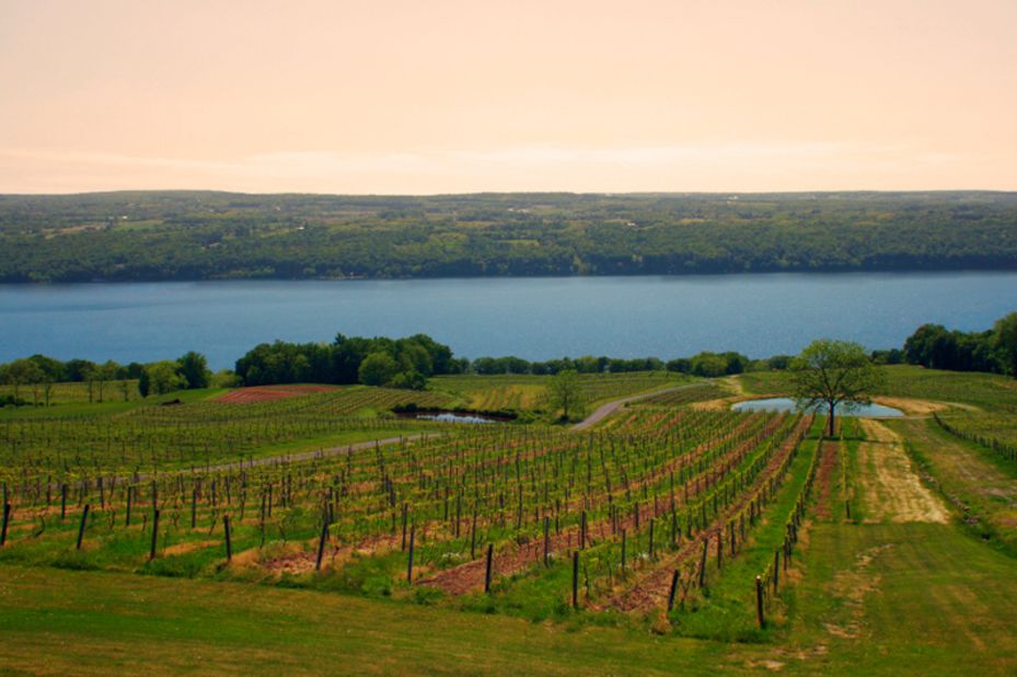 With more than a hundred vintners, the Finger Lakes region of Upstate New York is the prime wine region of the Eastern U.S.