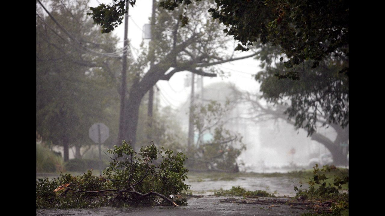 Winds from Isaac knocked down tree branches in Kenner, Louisiana.