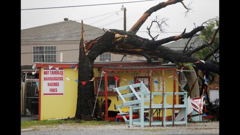 A tree toppled by Isaac stretches across the roof of a food stand in Arabi, Louisiana.