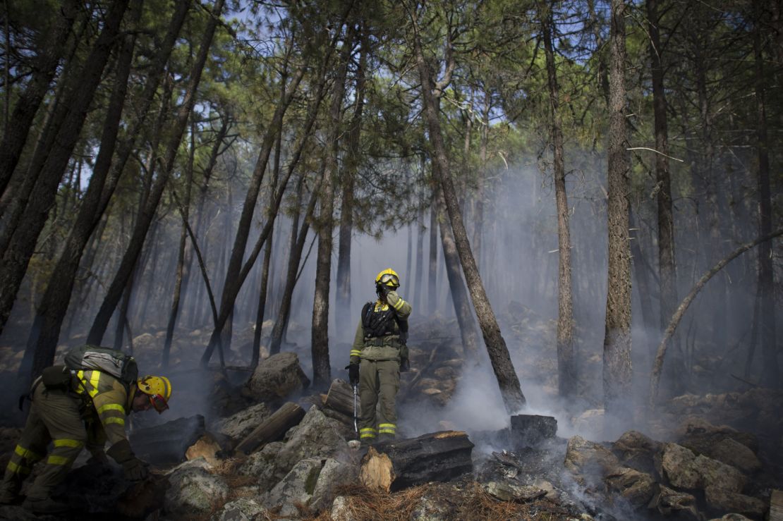 spanish wildfires 05