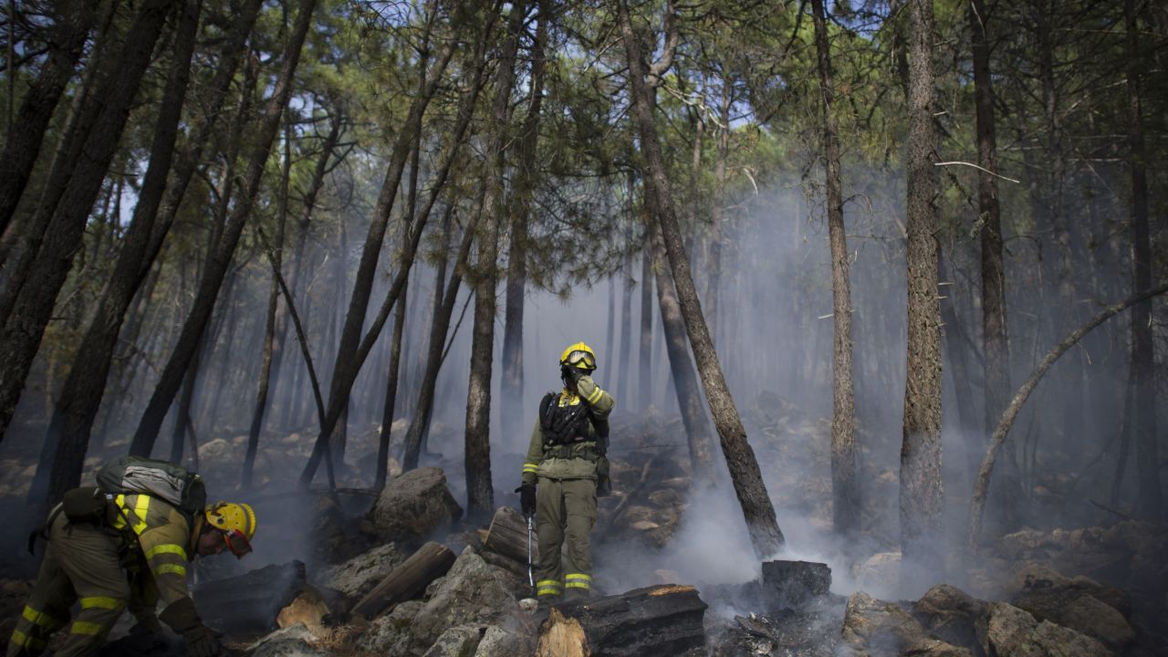 spanish wildfires 05