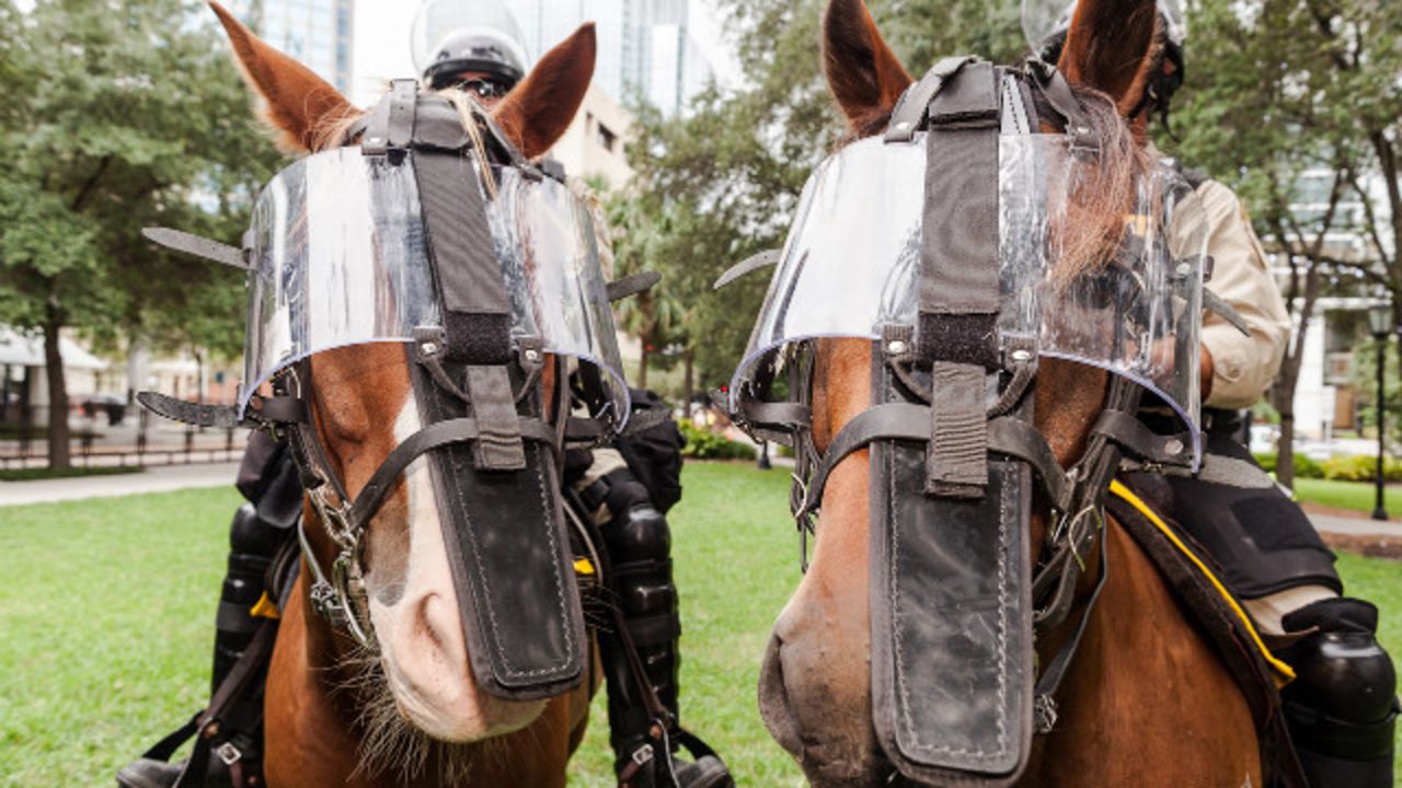 Police sit on horses on Thursday, August 30, in Tampa. - (Zoran Milich for CNN)