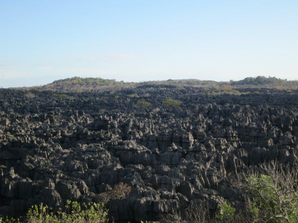 As a hotspot for biodiversity and with critically endangered animals surviving in this unique environment, Madagascar attracts tourists from all over the world.