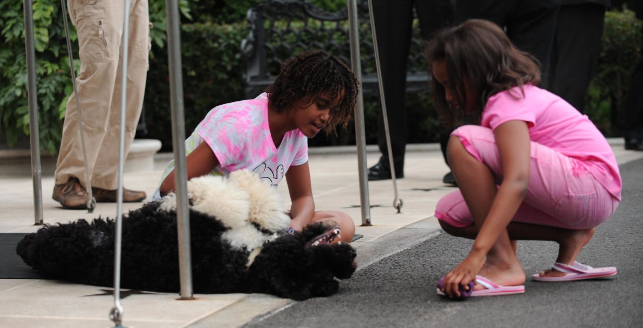 Sasha and Malia play with Bo as they wait for their dad's helicopter to land at the White House in September 2009.