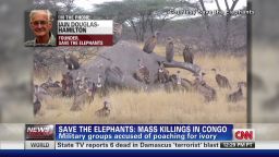 mass elephant slaughters for ivory_00045601
