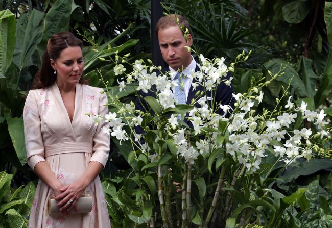 Britain's Prince William and Catherine viewed an orchid named for William's late mother in Singapore. 