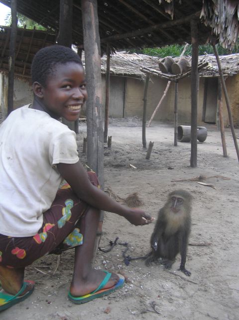 Georgette, the daughter of a local school director in Opala, DR Congo, with her pet Lesula -- the find that led biologists to identify the new species.