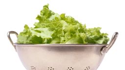 lettuce colander
