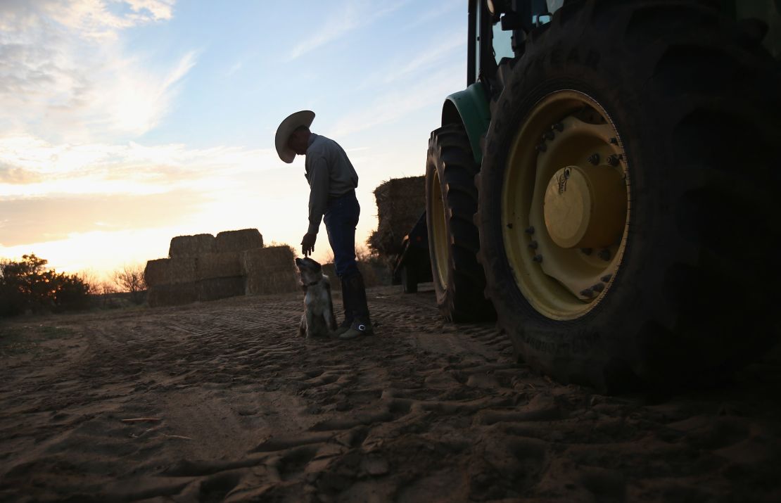 The nation's severe drought has been especially hard on cattlemen like Colorado rancher Gary Wollert.