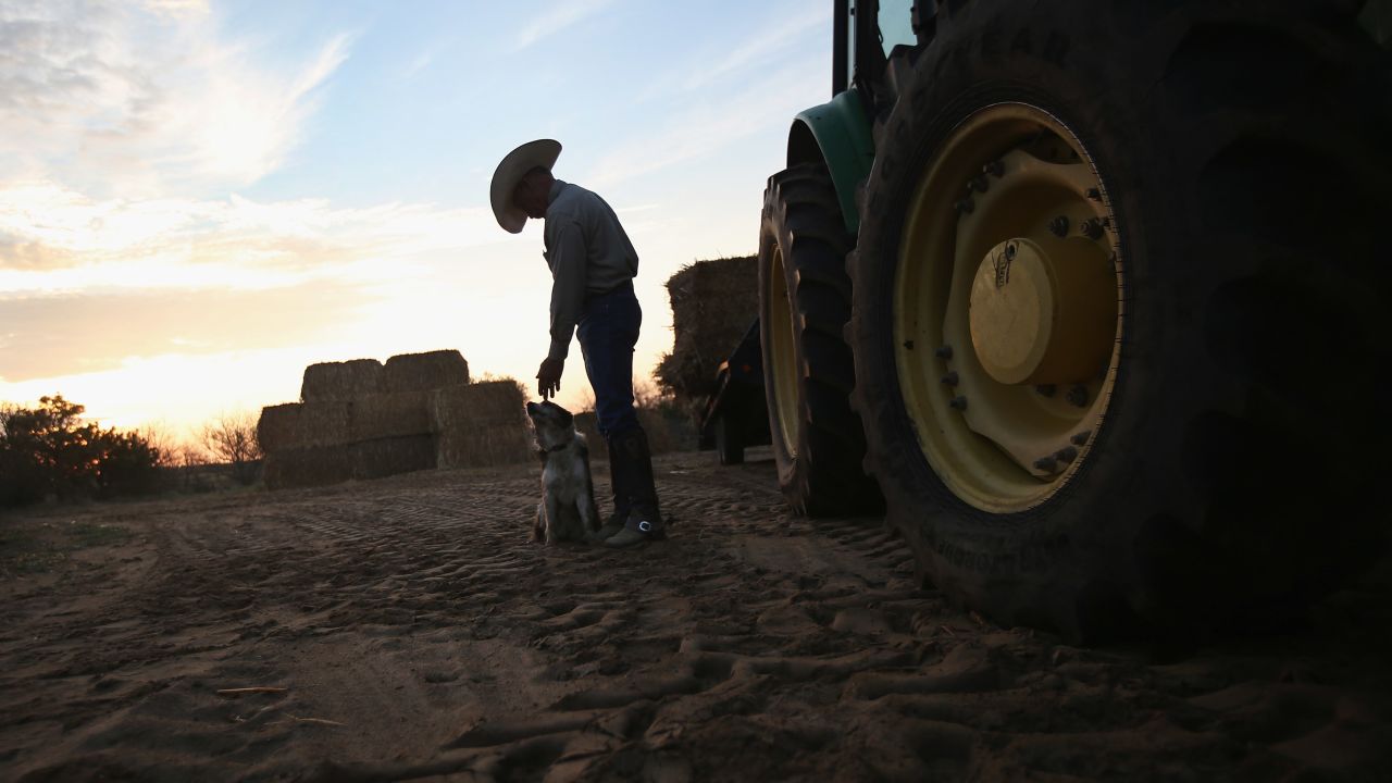 The nation's severe drought has been especially hard on cattlemen like Colorado rancher Gary Wollert.