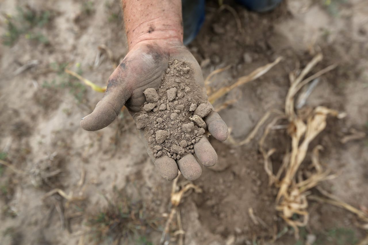 Farmer Darren Becker sifts through arid topsoil under a ruined crop on the family farm on August 24 in Logan, Kansas.