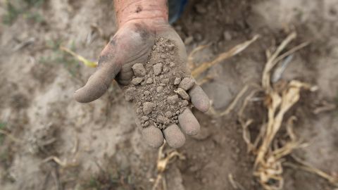 Farmer Darren Becker sifts through arid topsoil under a ruined crop on the family farm on August 24 in Logan, Kansas.