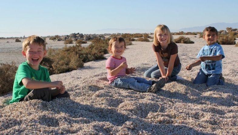 <a href="index.php?page=&url=http%3A%2F%2Fireport.cnn.com%2Fdocs%2FDOC-840200">Renee Longshore</a> is a teacher in California. This is a photo of her four children. She says because of the low teacher pay she has become a budgeter. But she says the greatest frustration for her as a teacher is not feeling valued or appreciated.