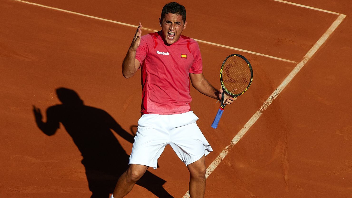 Nicolas Almagro (pictured) and David Ferrer have put Spain firmly in control of their Davis Cup semifinal against the U.S.
