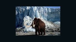 woolly mammoth file