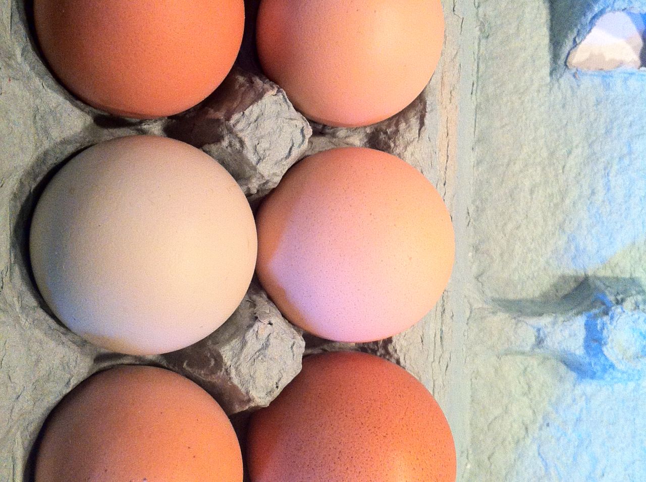 Egg yolks are chock-full of choline, a key nutrient for memory recall. 