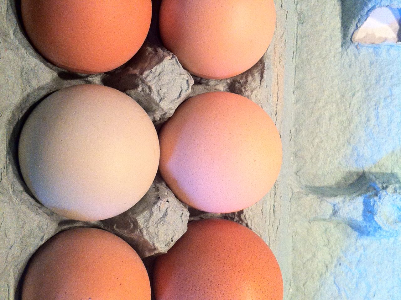 Egg yolks are chock-full of choline, a key nutrient for memory recall.