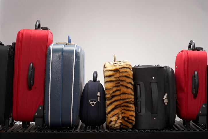 Louis Vuitton Rolling Travel Case - Luggage & Travelling Accessories -  Costume & Dressing Accessories