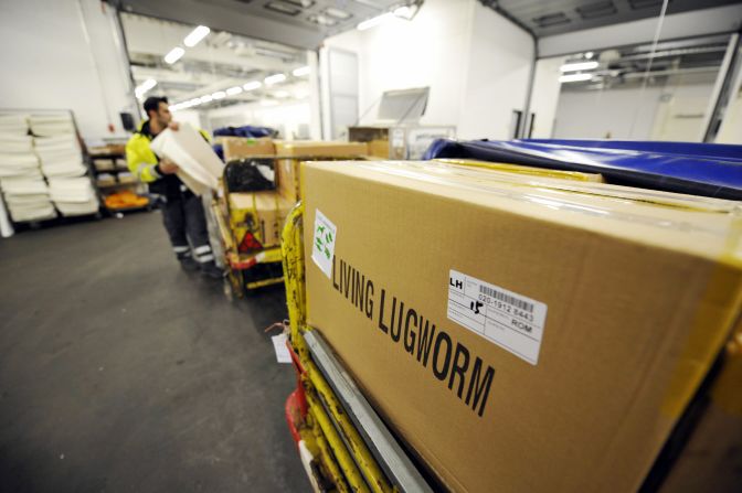 An airline staff member loads cases of living worms on a trailer at the Animal Lounge at Frankfurt's international airport. The lounge moves 300 tons of worms annually for use by fishermen around the world.