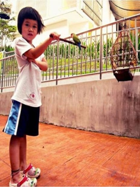 Other memories are more personal.  In this image, a little girl shows off her ability to hold a small bird along the "Pet Walk" in Serangoon North, an apartment cluster in the north-central part of Singapore that is often crowded with pet enthusiasts.