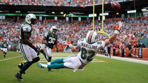Brian Hartline of the Dolphins fails to make a catch against the Jets.