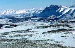 The Arctic National Wildlife Refuge in Alaska borders the National Petroleum Reserve.