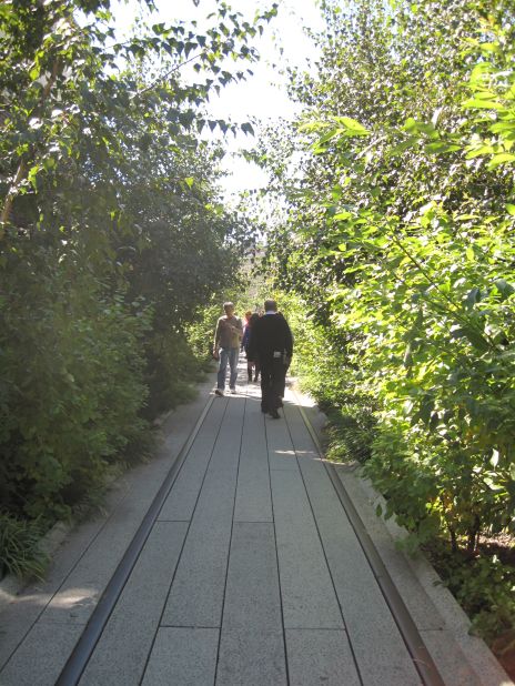 The High Line is supported by Friends of the High Line, founded in 1999, which is dedicated to its development and preservation.