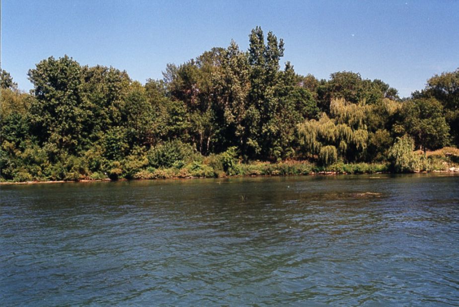 The Calf Island coastline is part of the Detroit River International Wildlife Refuge, a partnership between the United States and Canada and North America's first international wildlife refuge. 
