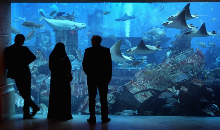 People in traditional dress watch fish in a giant tank at Atlantis the Palm Hotel in Dubai.