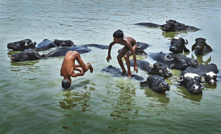 "Peaceful co-existence' 9-year-old Darpan Basak's shot of children playing in a stream with water buffalo. 