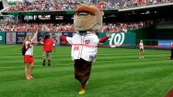 The Washington Nationals mascot Teddy Roosevelt wins the president's race for the first time during the game against the Philadelphia Phillies at Nationals Park on October 3, in Washington, DC. 