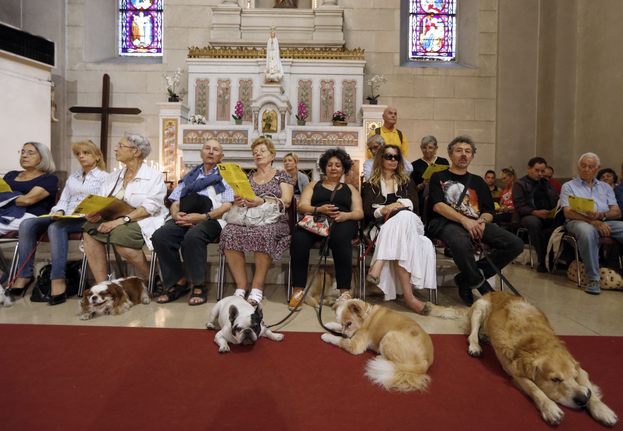People and animals line up for the blessing on Sunday. 