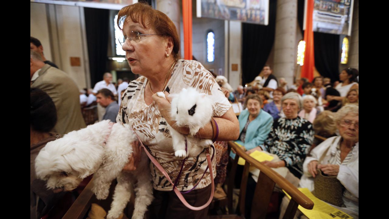 A woman attends with her dog and rabbit on Sunday..