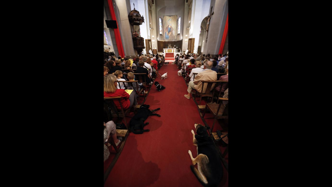 People and their pets sit in the church on Sunday. 