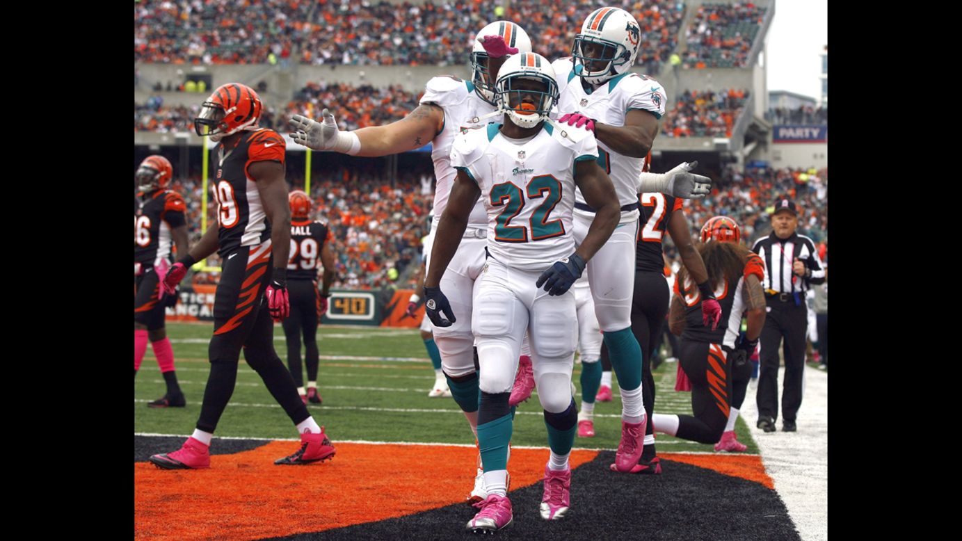No. 22 Reggie Bush of the Dolphins celebrates with his teammates Sunday after a touchdown against the Bengals.