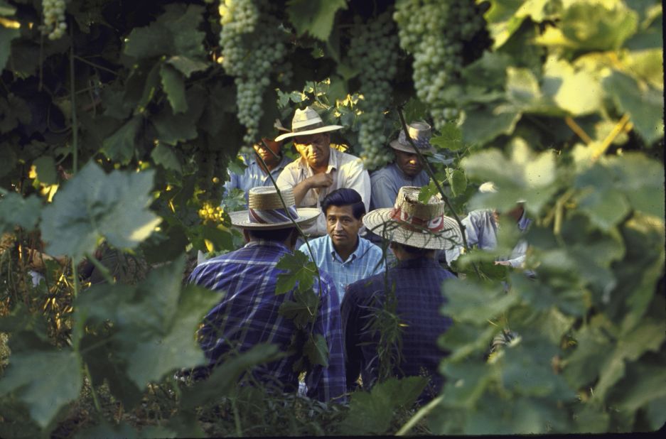 On behalf of his group, Chavez talks with grape pickers during a national boycott of California grapes in 1965.