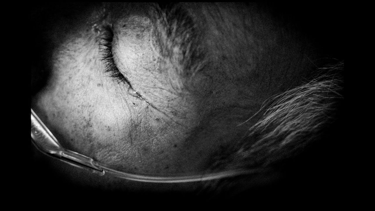 "Traces" by Japanese photographer Hajime Kimura. "In Japan in 2007, there was a succession of reports about old people discovered in their apartments long after they had died. The photographer was shocked by that, and thought of his own father, who also lived alone. When he learned his father that was dying of cancer, he began to take photos of him, feeling that these records became a proof of the old man's existence. The experience led to a new sort of trust growing between them."